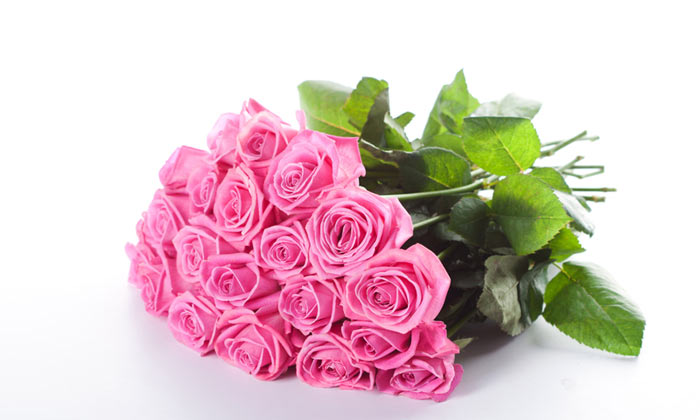 صور ورود بجودة عالية , صور ورود حلوة , احلى صور للورود 1 (12).jpg
